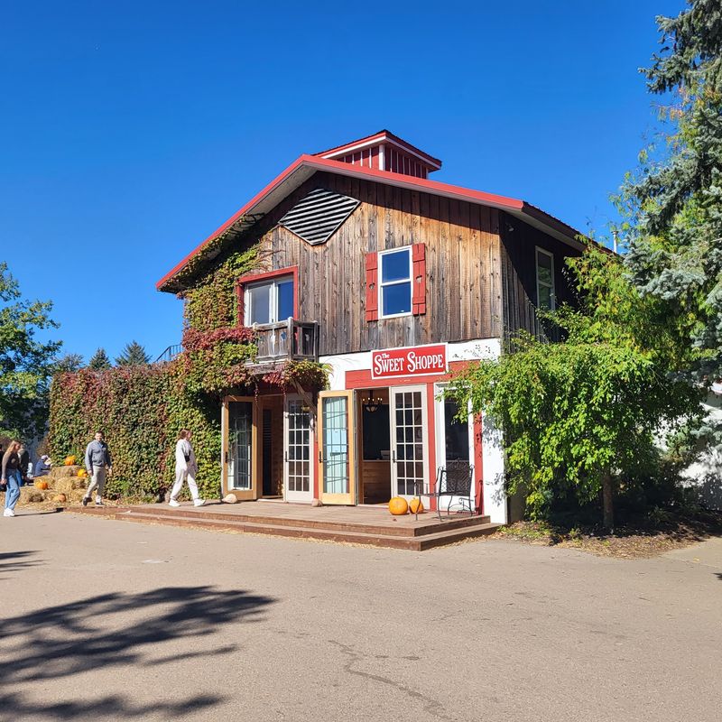 Sponsel's Minnesota Harvest Apple Orchard, Jordan