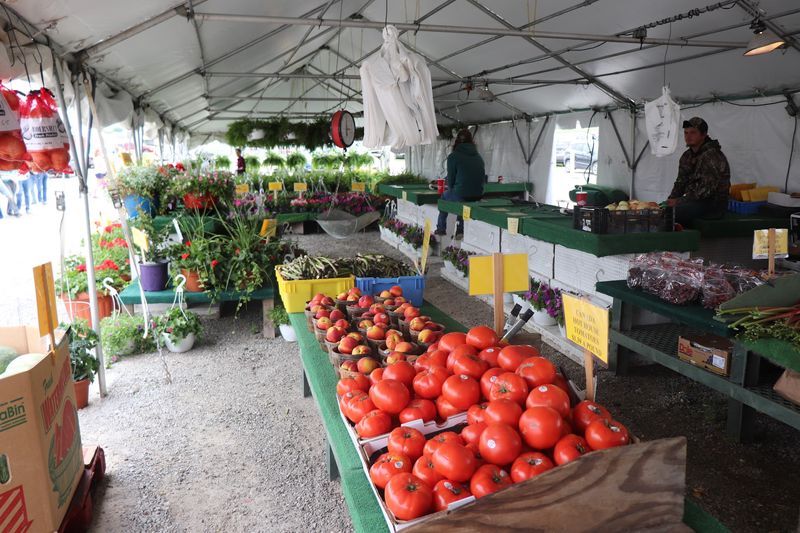 Springtime Plants At Bargain Prices