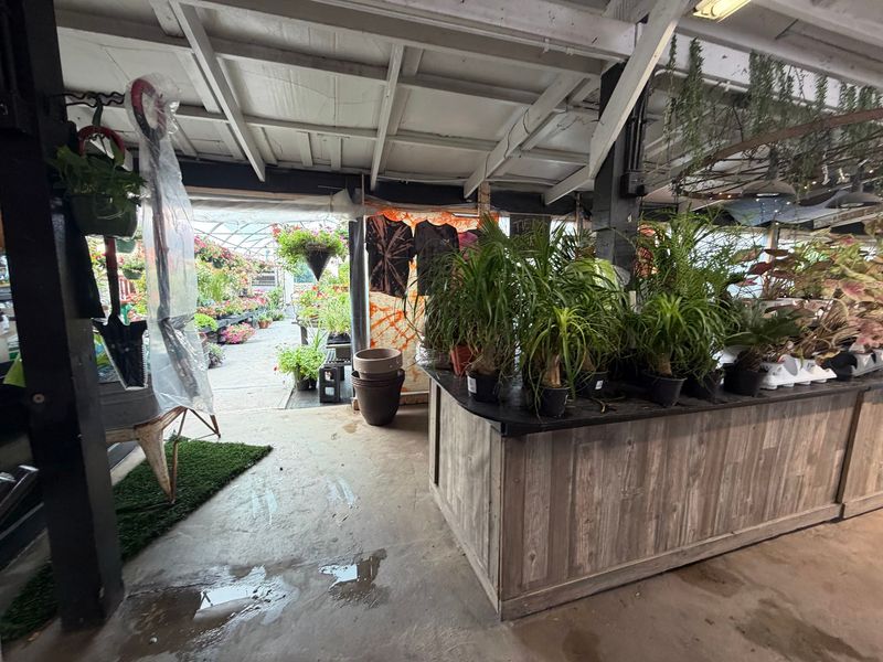 Staff Who Actually Know Their Plants