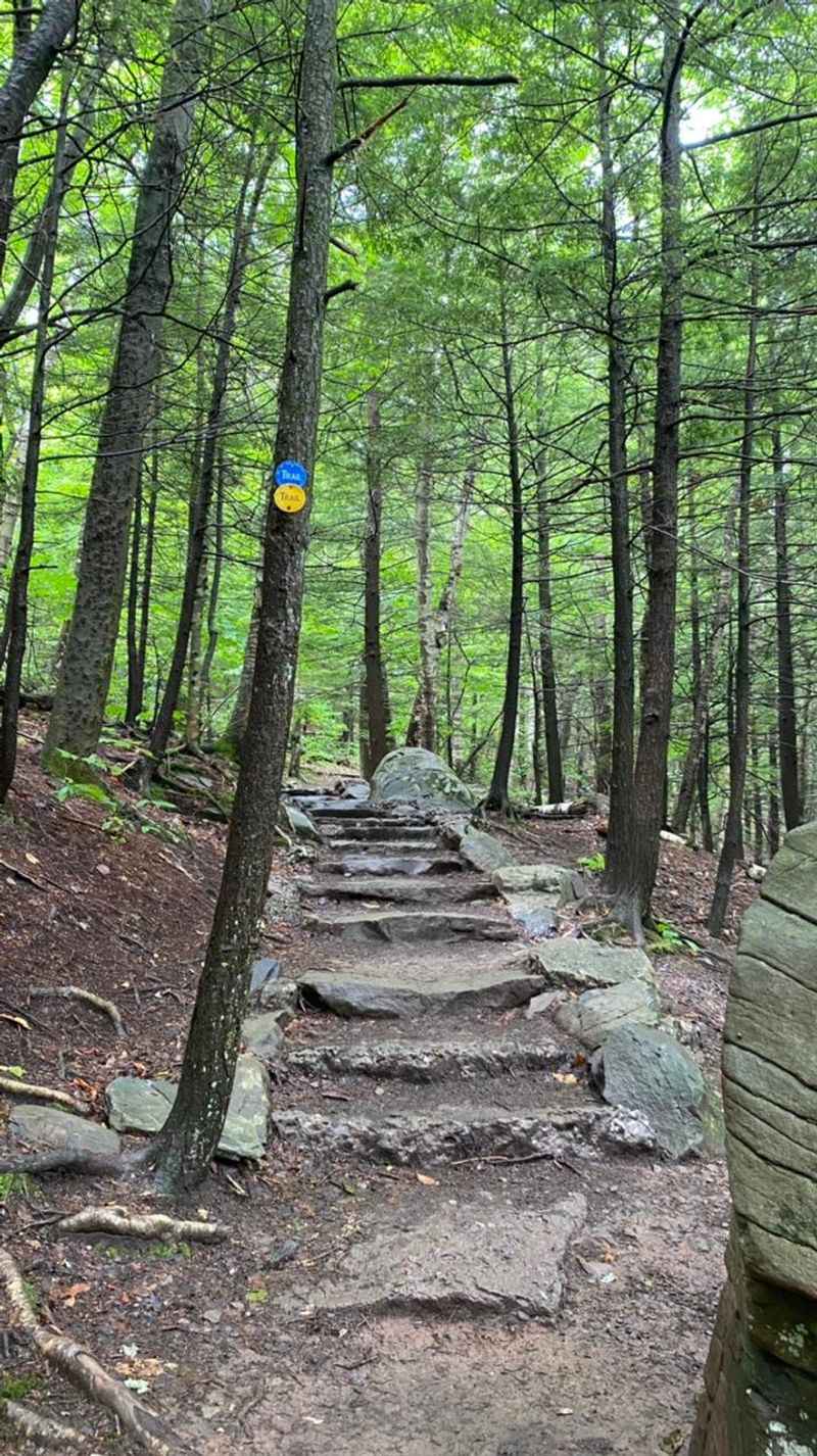 Stairs, Steep Bits, and the Path Below Stairs, Steep Bits, and the Path Below