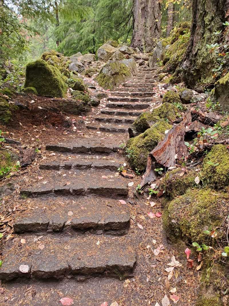 Staying On The Trail And Staying Safe