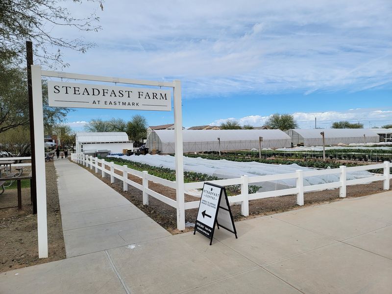 Steadfast Farm, Mesa, Arizona