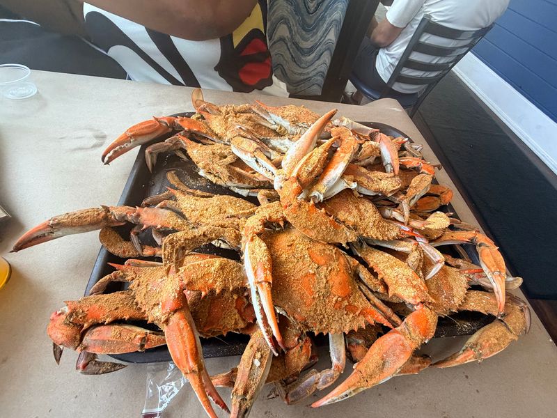 Steamed Crabs In Season Steamed Crabs In Season