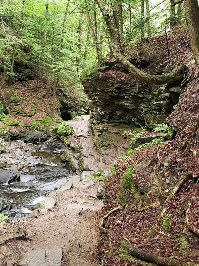 Steep Grades and Slippery Footing Steep Grades and Slippery Footing