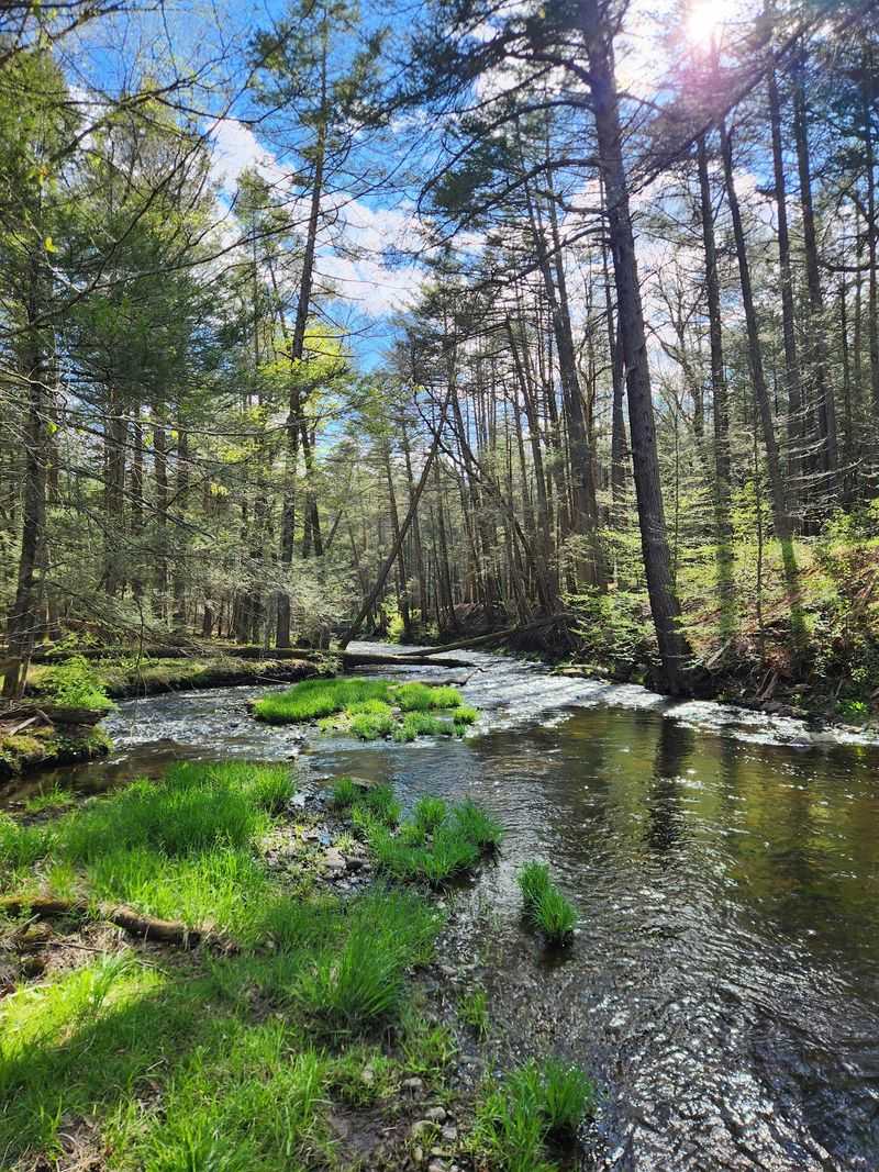Stokes State Forest - Branchville, New Jersey