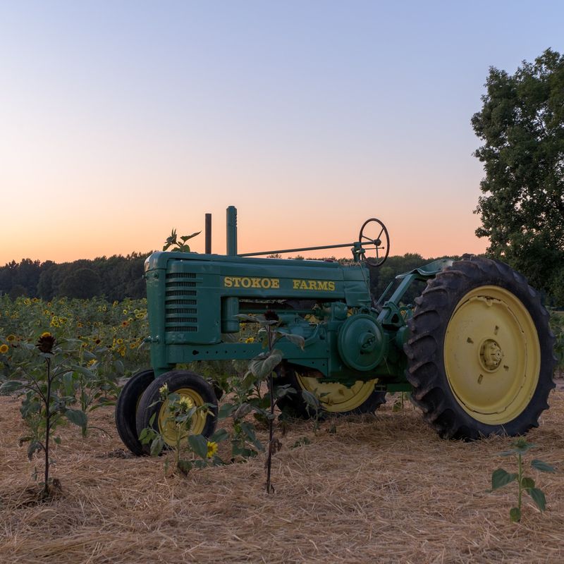 Stokoe Farms, Scottsville, NY