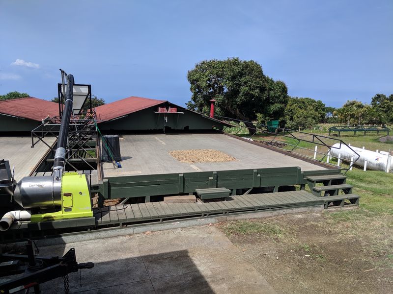 Storm Damage and a Farm on the Mend