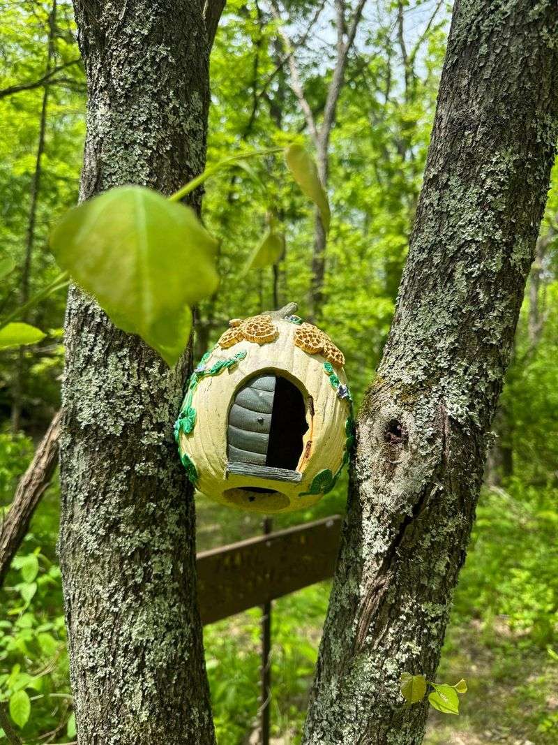 Storybook Trail and Fairy Doors - Pure Wonder for Little Explorers Storybook Trail and Fairy Doors - Pure Wonder for Little Explorers