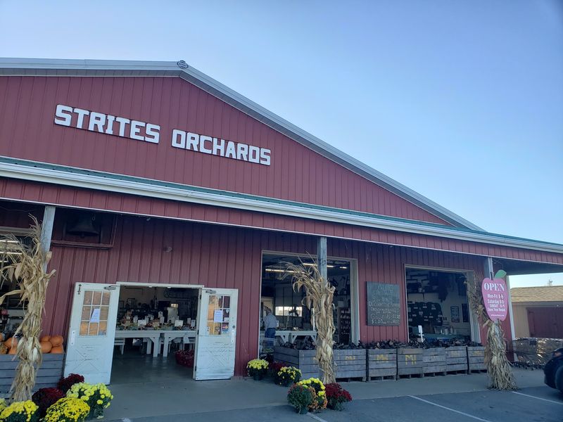 Strites' Orchard, Harrisburg, PA