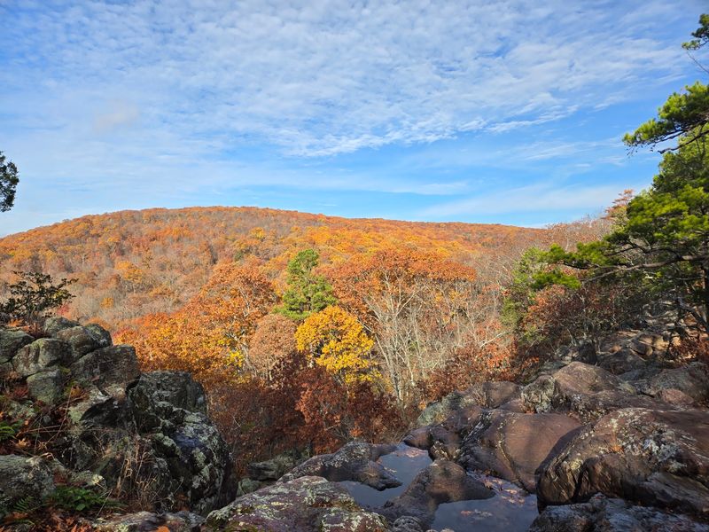 Stunning Seasonal Views from the Overlook Stunning Seasonal Views from the Overlook