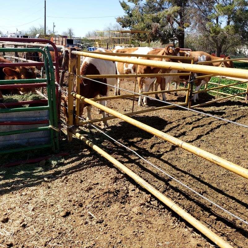 Superstition Farm, Mesa, Arizona