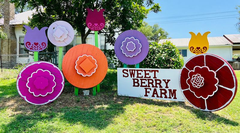 Sweet Berry Farm, Marble Falls, Texas
