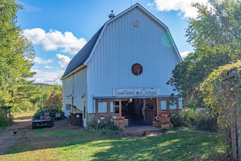 Sweetland Orchard, Webster