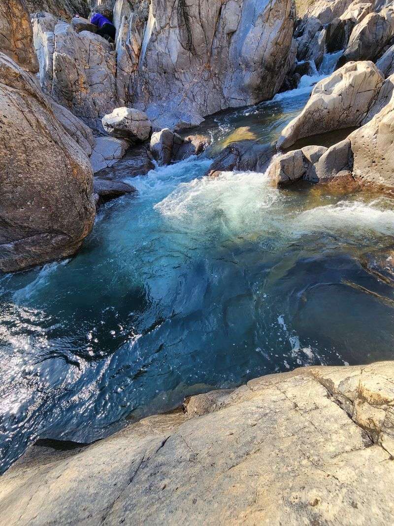 Swimming Through the Rocky Chutes