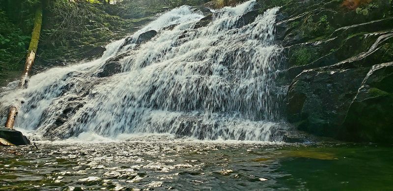 Swimming and Wading: Cooling Off at the Falls