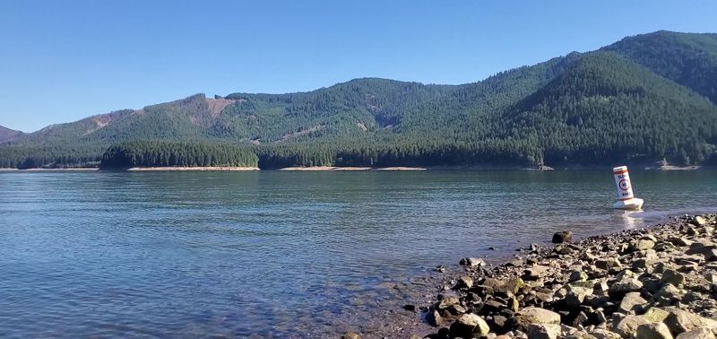 Swimming and the Rocky Shoreline