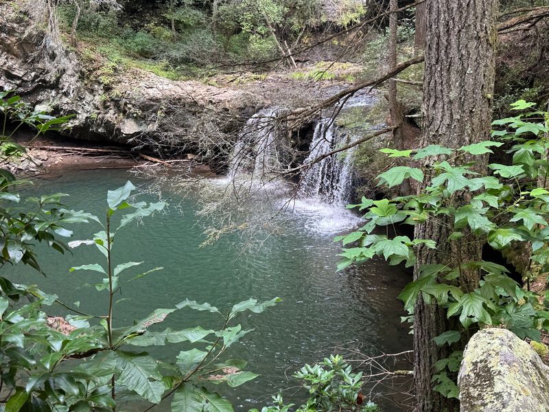 Sycamore Falls and the Out-and-Back Detour