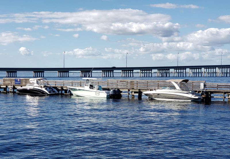 Take a Dolphin and Manatee Boat Tour