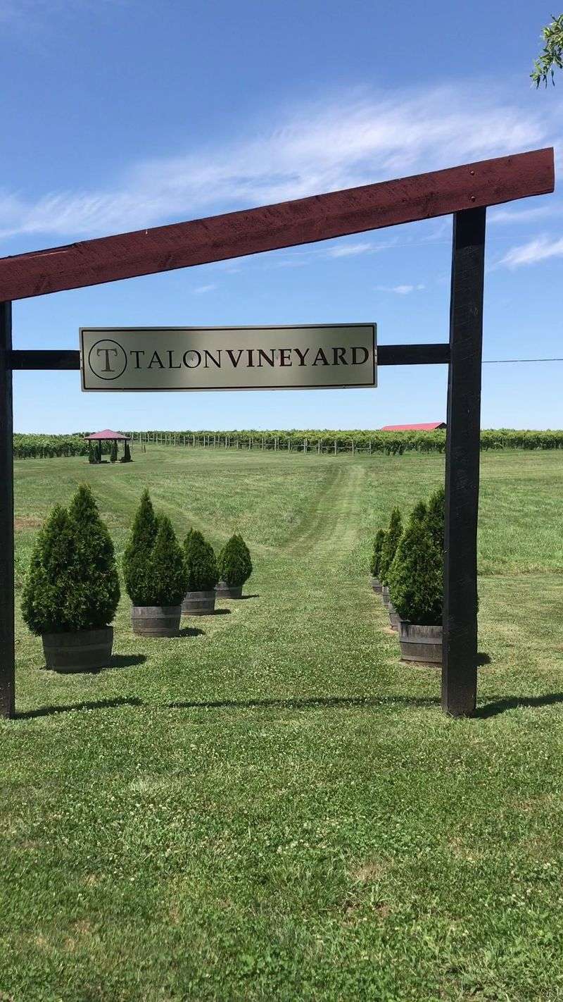 Talon Winery, Lexington, Kentucky