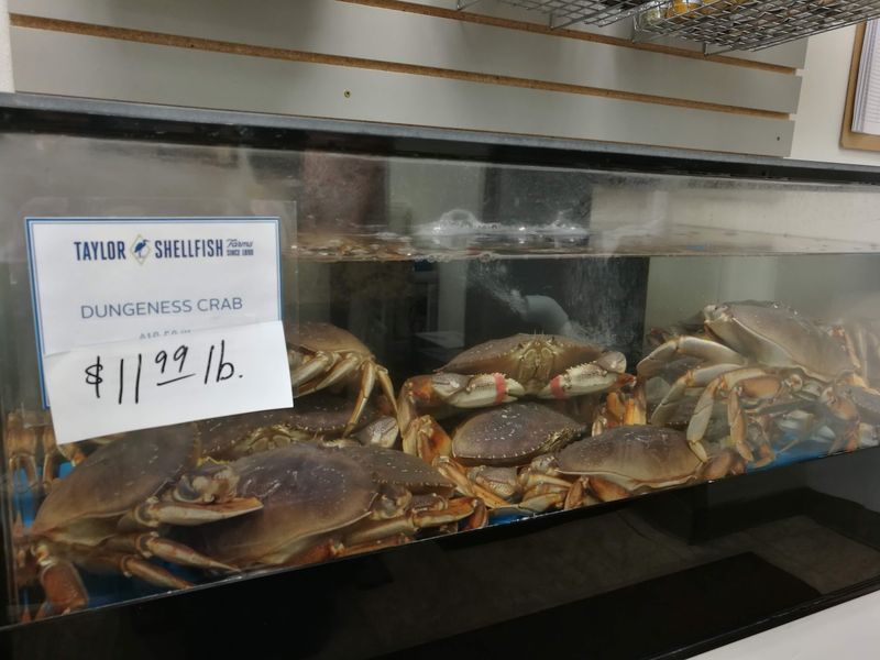 Taylor Shellfish Farms, Shelton