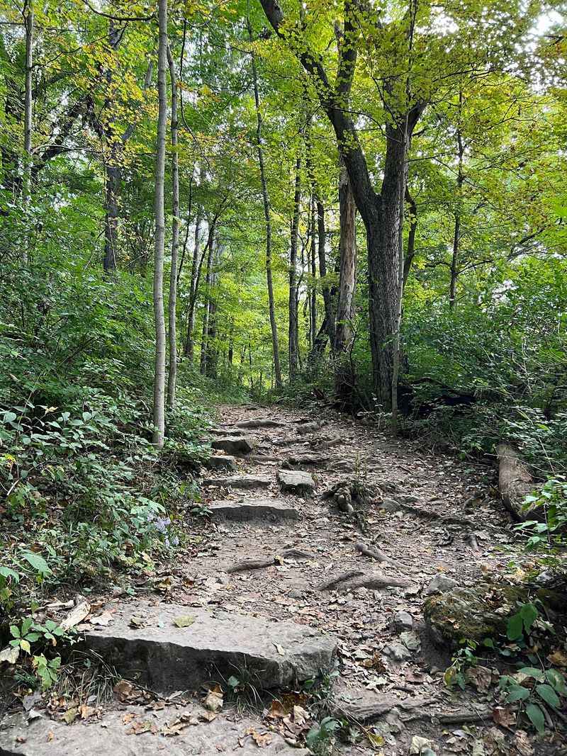 Ten Trails, One Compact Playground