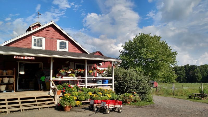 Terhune Orchards, Princeton, NJ