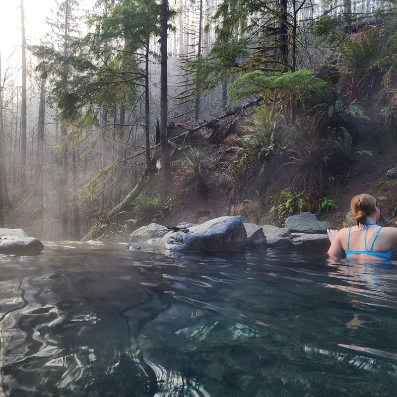 Terwilliger (Cougar) Hot Springs, Willamette National Forest
