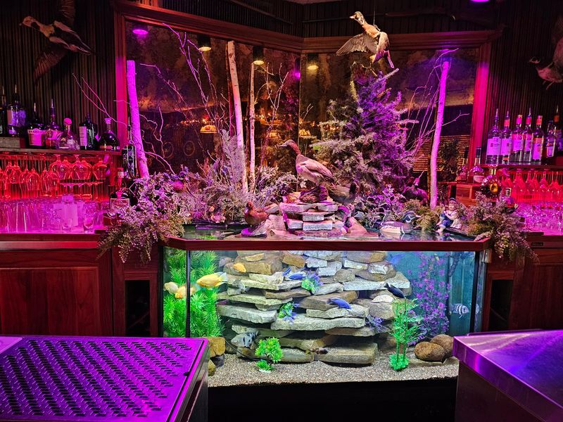 That Glowing Fish Tank Behind the Bar