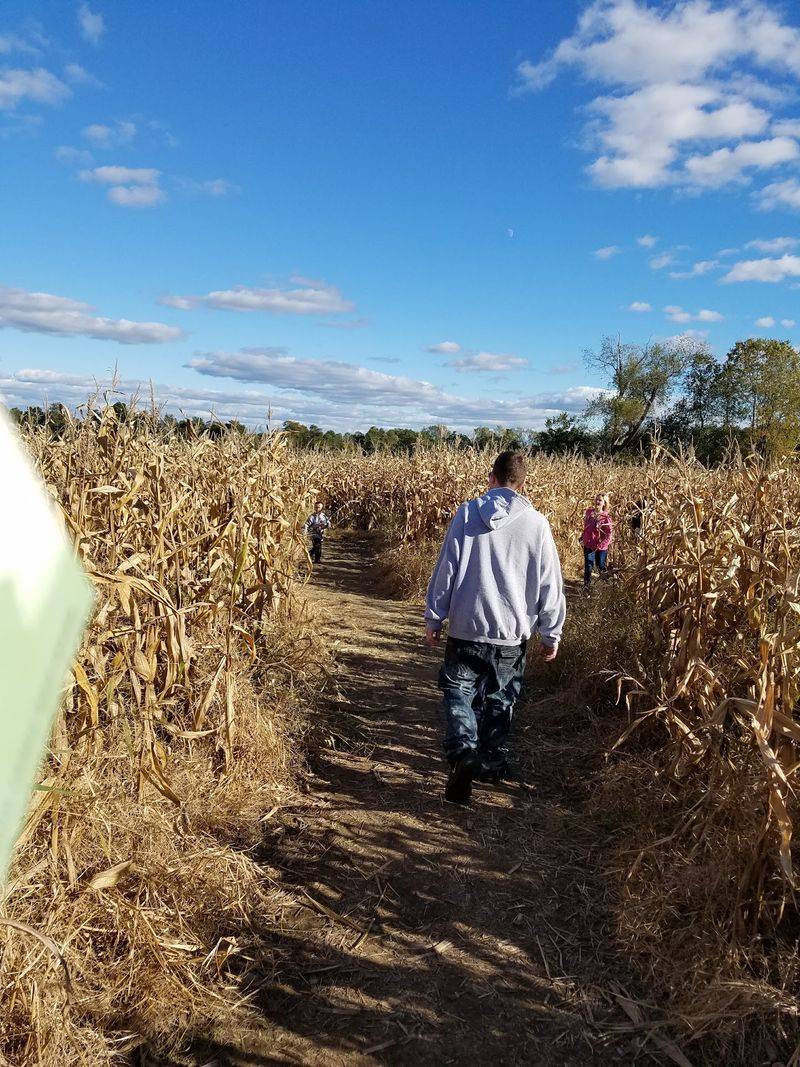 The 17-Acre Maze That Changes Every Year