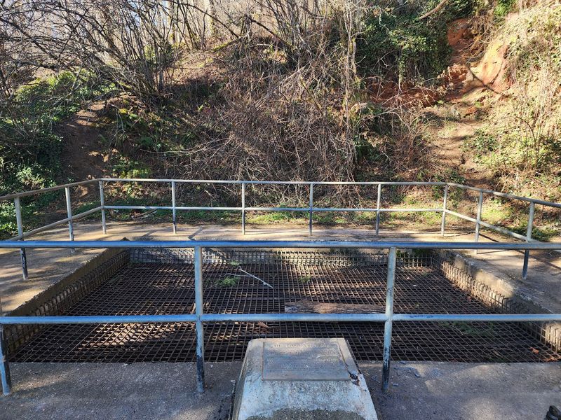 The Abandoned Mine Shaft Surprise The Abandoned Mine Shaft Surprise