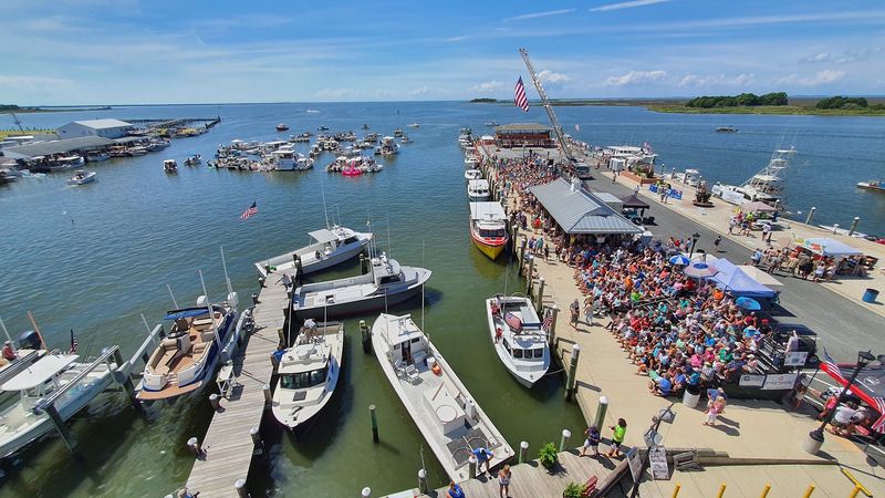 The Annual Hard Crab Derby and Fair