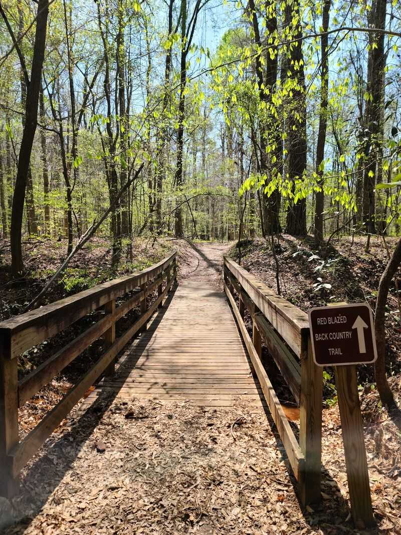 The Backcountry Trail For Serious Hikers The Backcountry Trail For Serious Hikers