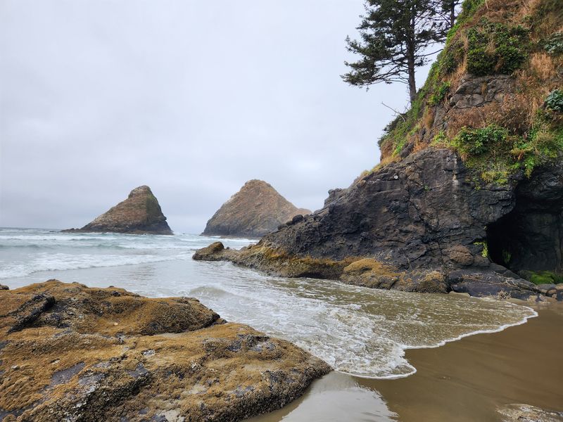 The Beach And Sea Lions Below