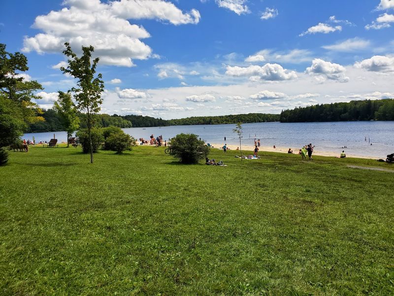 The Beach and Swimming Cove