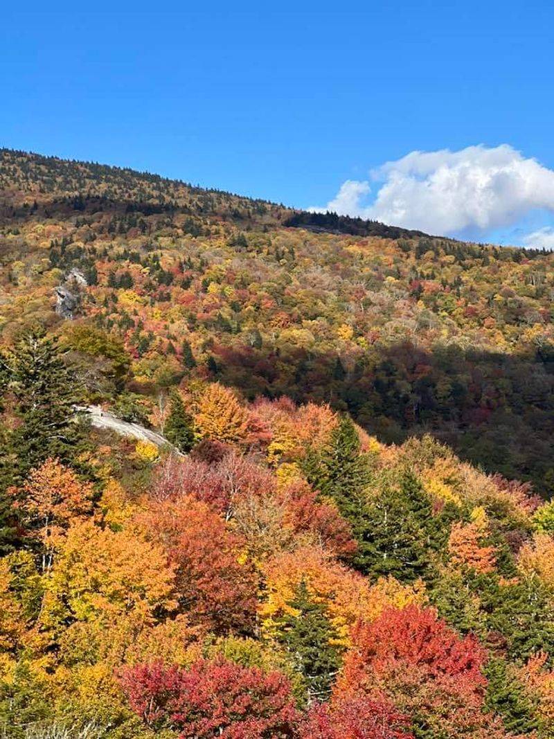 The Best Times of Year to Visit The Best Times of Year to Visit