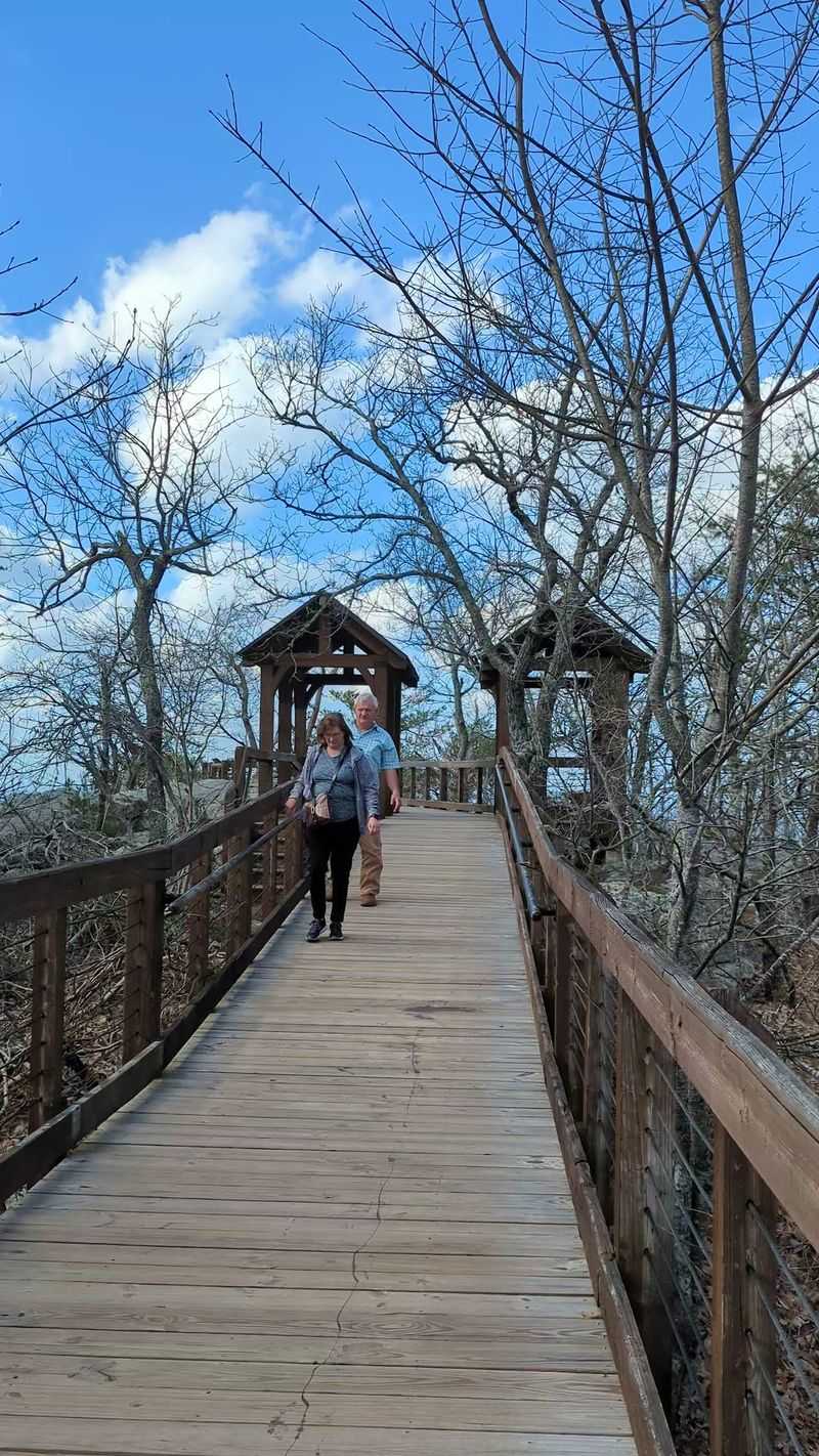The Boardwalk Everyone Can Enjoy The Boardwalk Everyone Can Enjoy