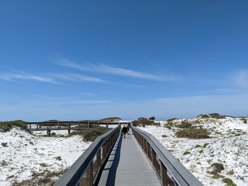 The Boardwalk That Guards The Dunes The Boardwalk That Guards The Dunes