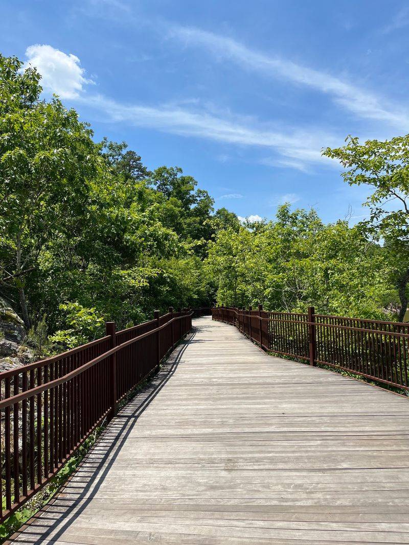 The Boardwalk and Paved Path to the Water