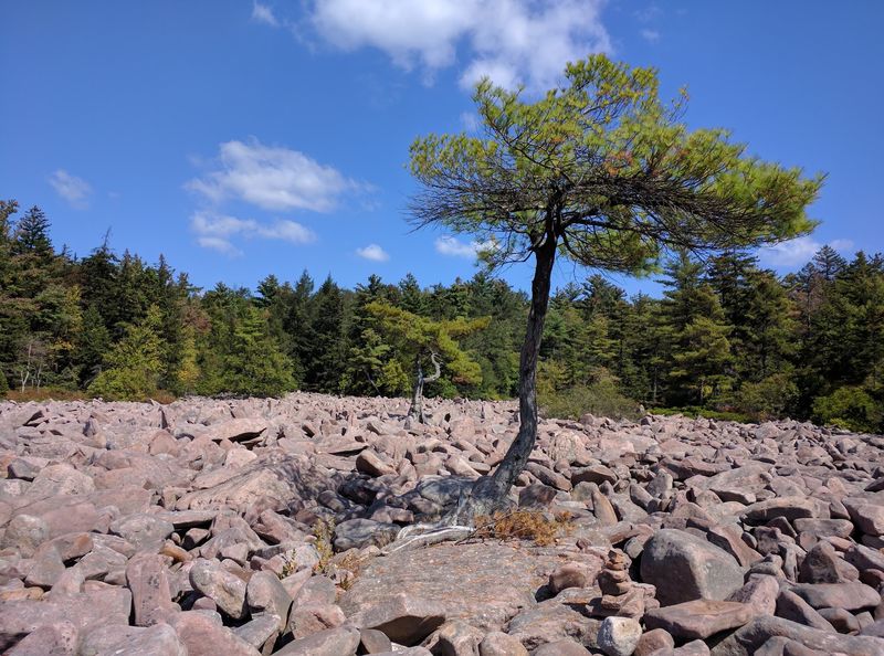 The Boulder Field That Feels Like Another Planet