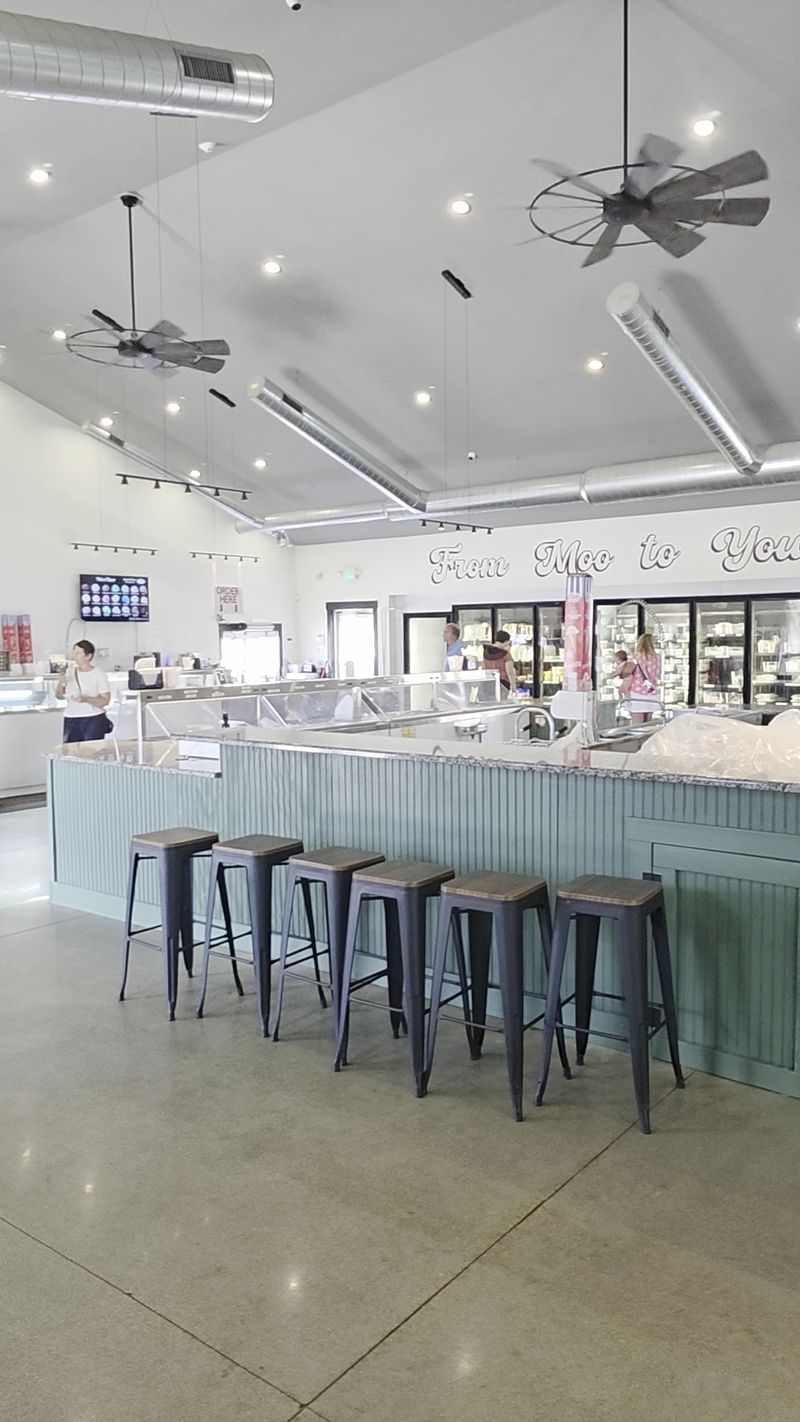 The Brand-New Ice Cream Shop