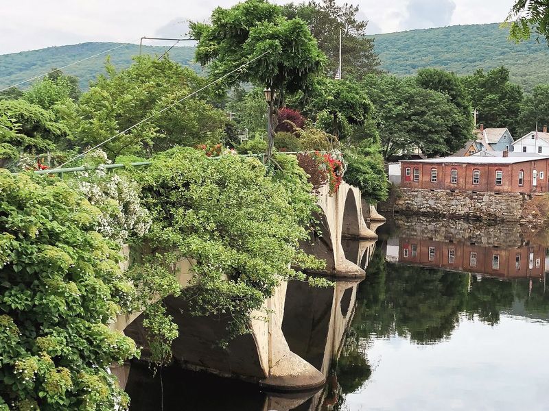 The Bridge That Blooms All Summer