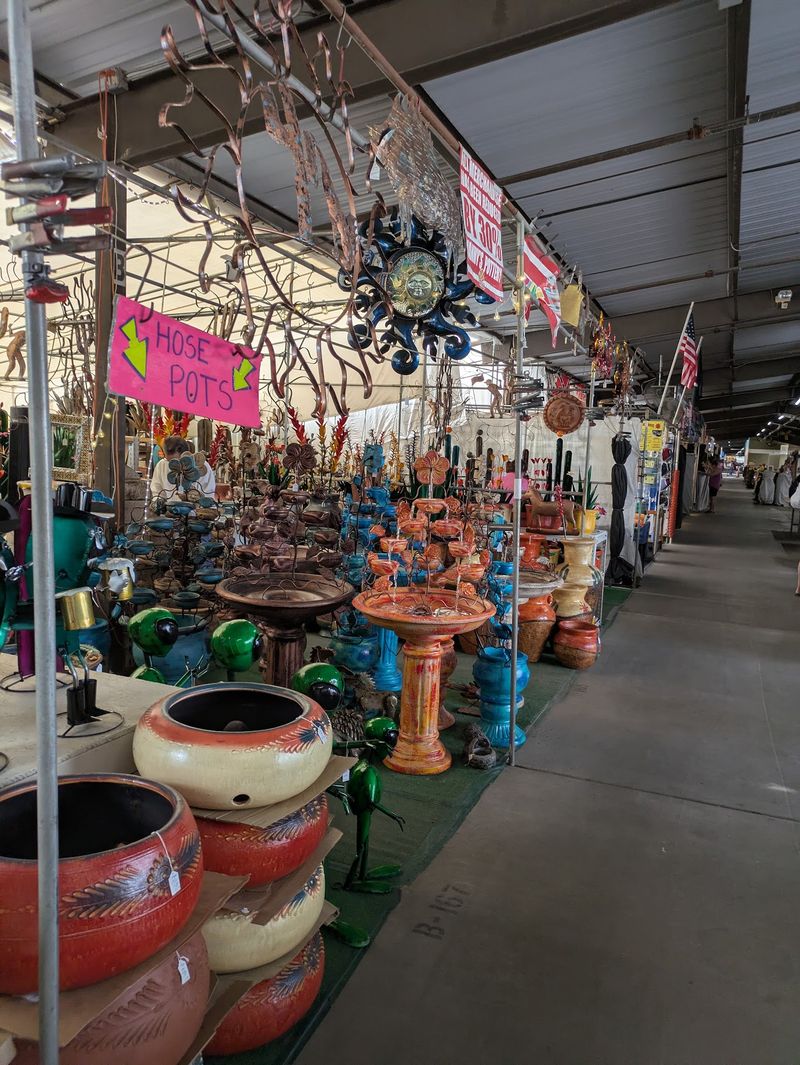 The Cactus Guy And Garden Finds
