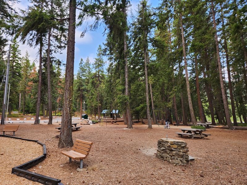 The Camp Store and Everyday Comforts The Camp Store and Everyday Comforts