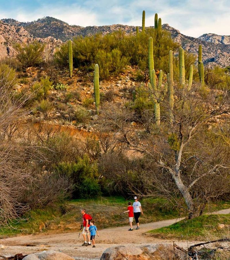 The Canyon Loop That Wins Hearts The Canyon Loop That Wins Hearts