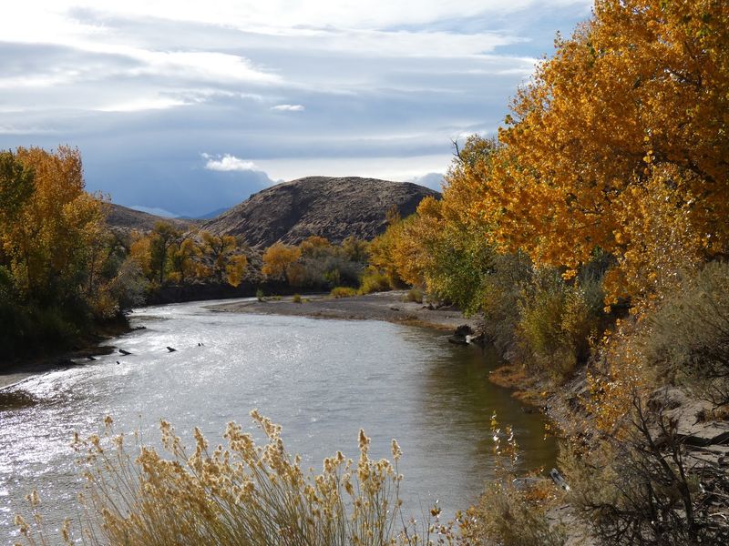 The Carson River Trail to Buckland Station