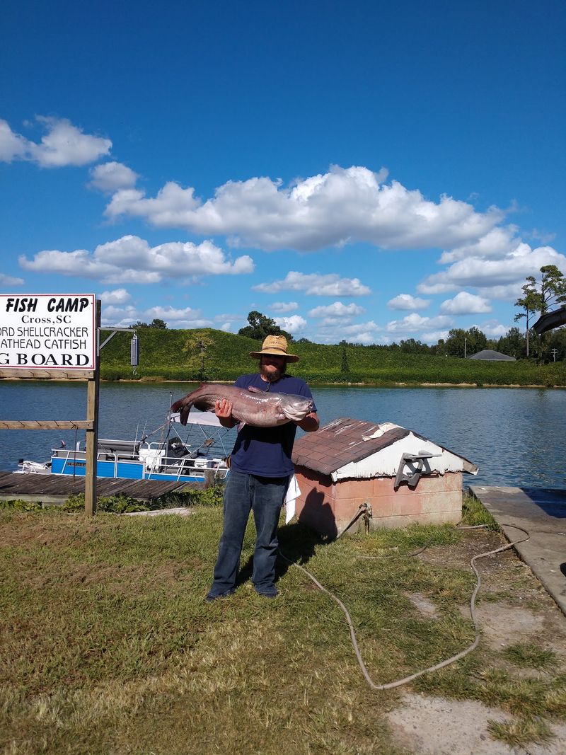 The Catfish That Built Its Name The Catfish That Built Its Name