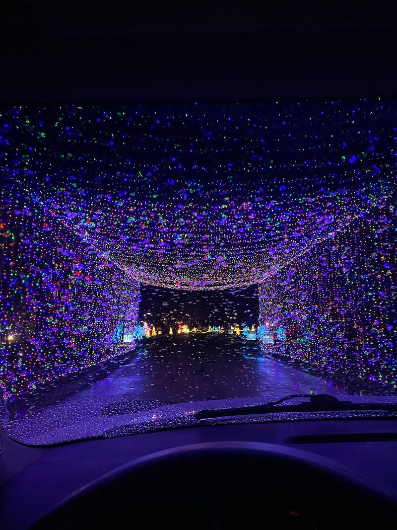 The Christmas Festival of Lights The Christmas Festival of Lights