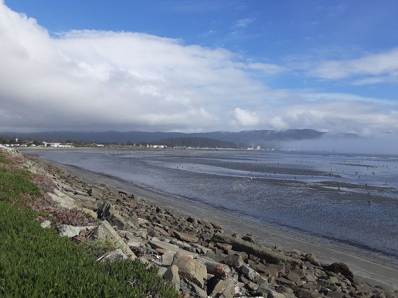 The Coastal Trail for Scenic Walks