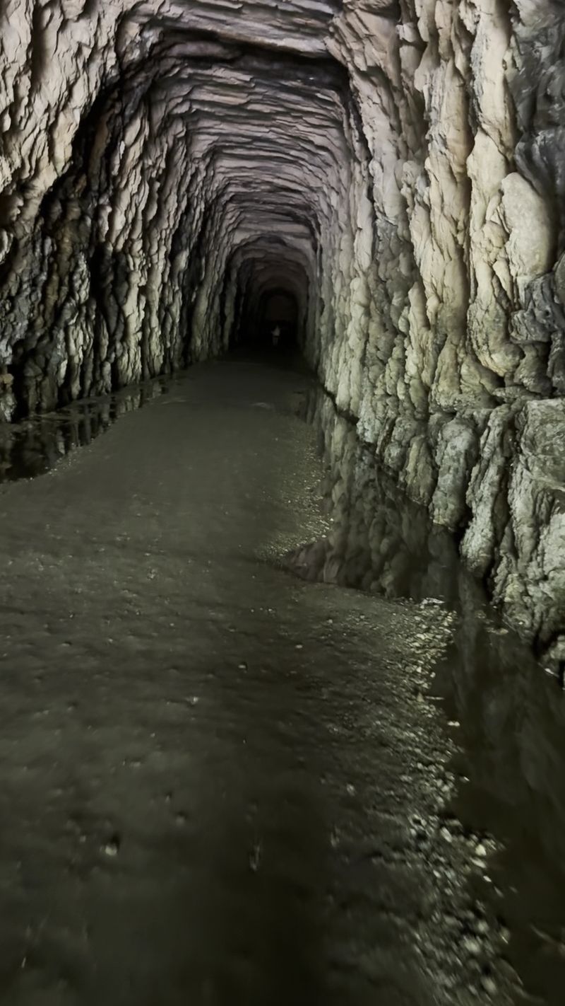The Cold, Dark Walk Inside The Cold, Dark Walk Inside
