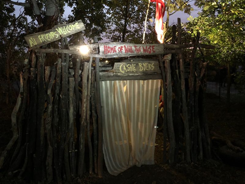 The Corn Maze After Dark